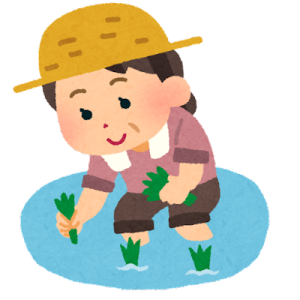 田植えをしている麦わら帽子を被った女性のイラスト