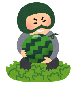 スイカを盗もうとしている野菜泥棒のイラスト